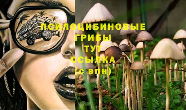 трава Алексин