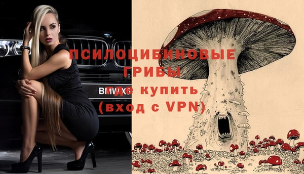 трава Алексин