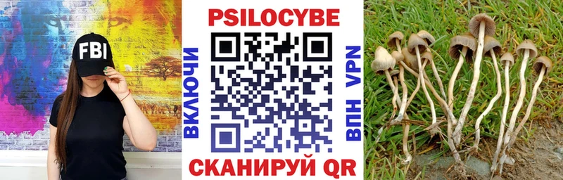Галлюциногенные грибы Psilocybe Беломорск