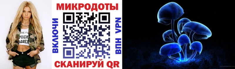 Псилоцибиновые грибы Psilocybine cubensis  Беломорск 